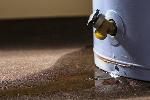 Best 24/7 water damage repair  in Lemon Hill, CA