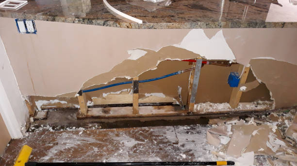Best Local water damage restoration  in Lemon Hill, CA