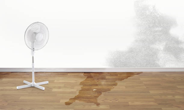 Best 24/7 water damage repair  in Lemon Hill, CA