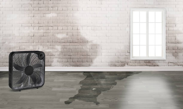 Water damage restoration insurance claims in Lemon Hill, CA