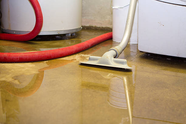  Lemon Hill, CA Water damage restoration Pros