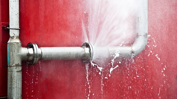 Best Local water damage restoration  in Lemon Hill, CA