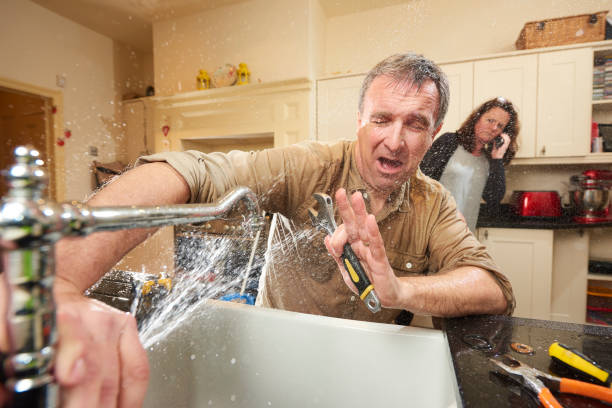Best Professional water damage repair  in Lemon Hill, CA
